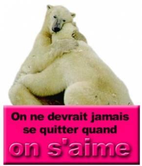 l'amour